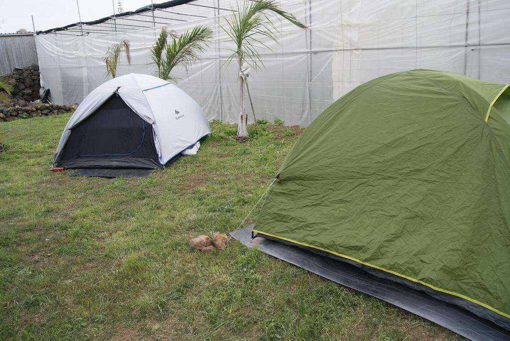 Camping Invernaderito Tejina Eksteriør bilde